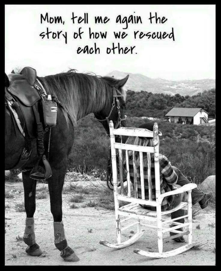 Blandet søde sjove billeder og tekster  billede 218