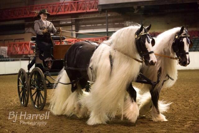 Blandet søde sjove billeder og tekster  billede 217