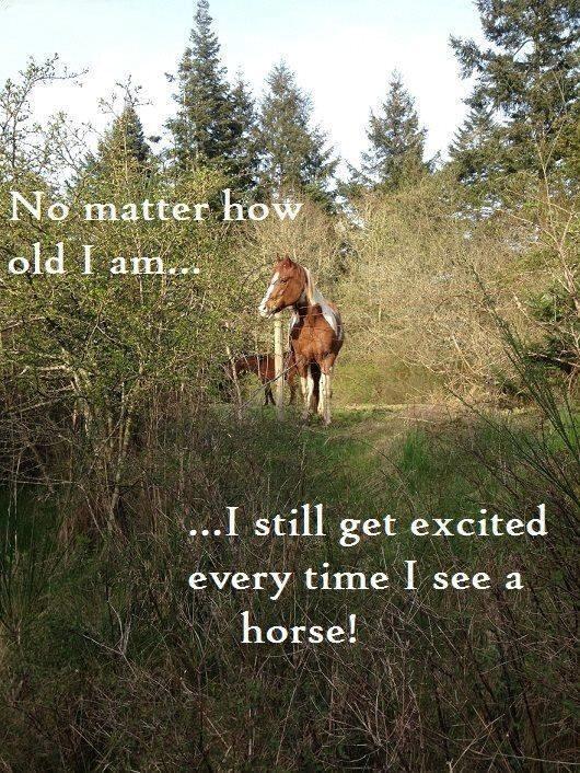 Blandet søde sjove billeder og tekster  billede 221