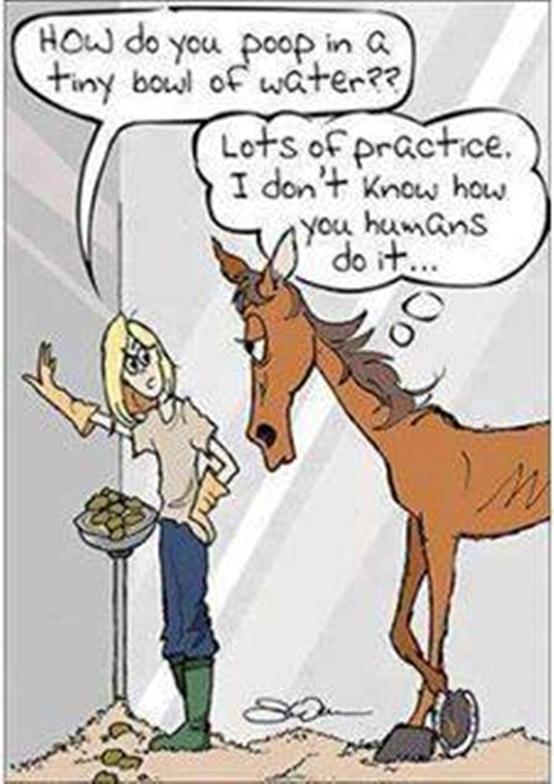 Blandet søde sjove billeder og tekster  billede 223