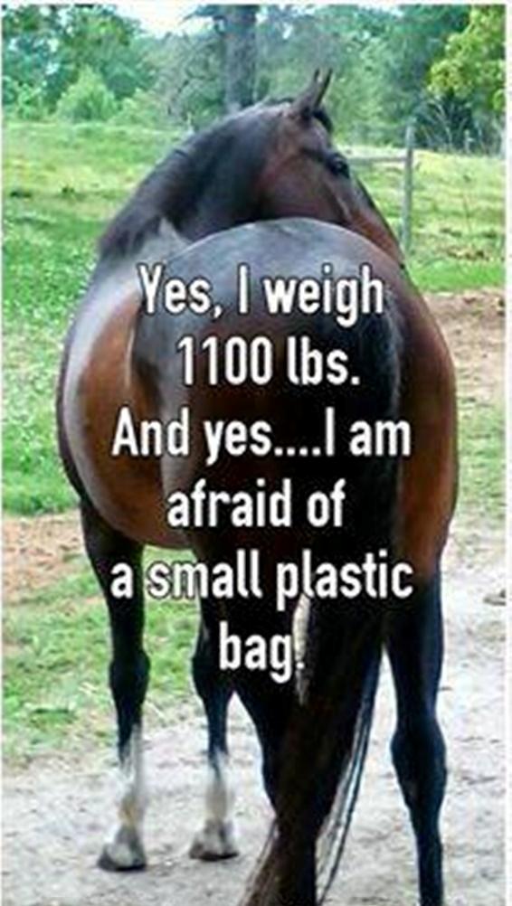 Blandet søde sjove billeder og tekster  billede 230