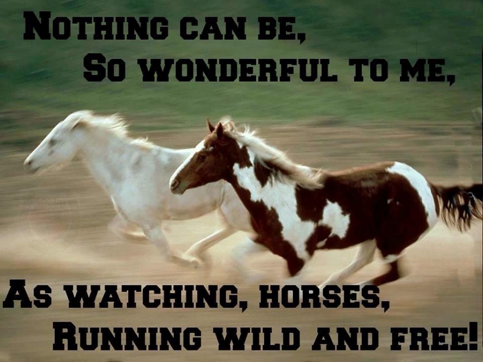 Blandet søde sjove billeder og tekster  billede 224