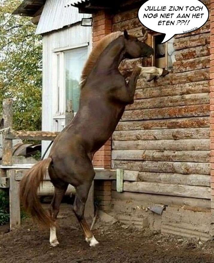 Blandet søde sjove billeder og tekster  billede 235