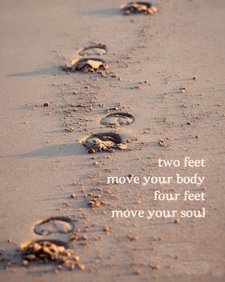 Blandet søde sjove billeder og tekster  billede 239