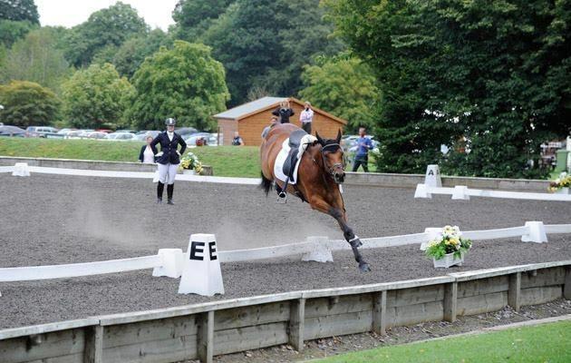 Blandet søde sjove billeder og tekster  billede 242