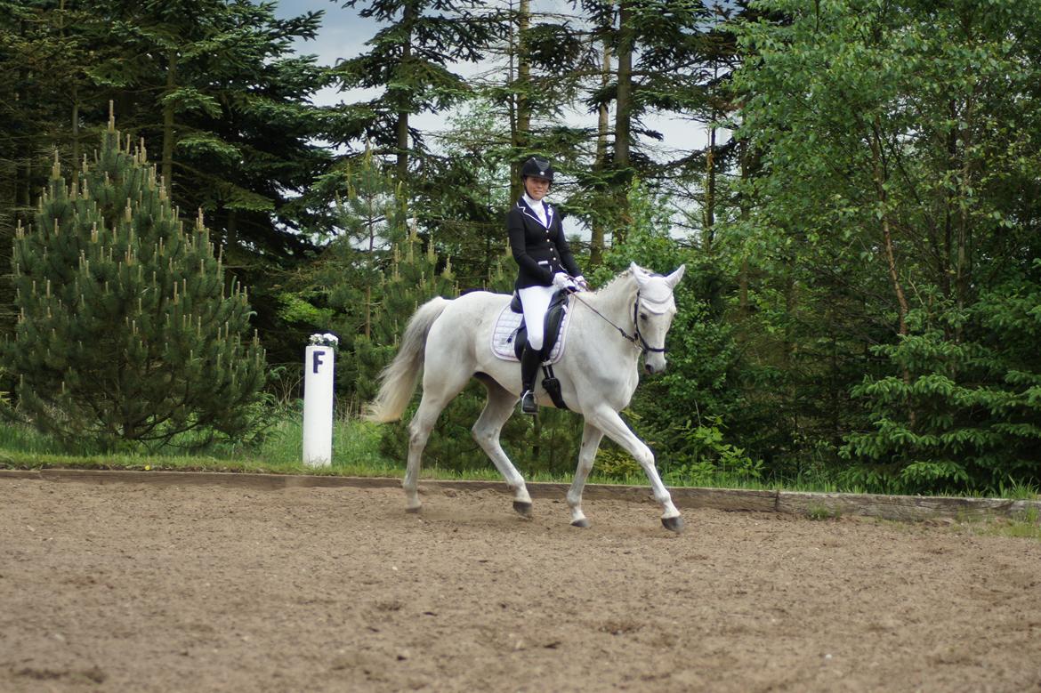 Regionsstævne Haderup rideklub 28.05.16 billede 1