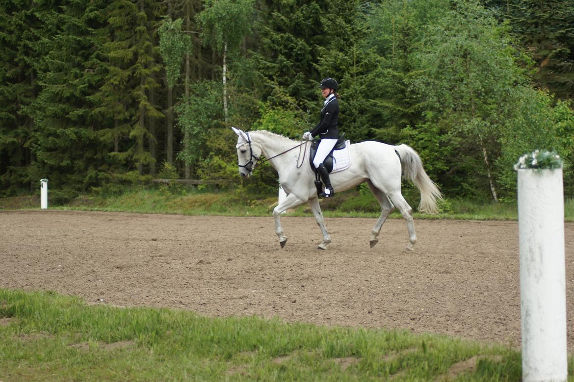 Regionsstævne Haderup rideklub 28.05.16 billede 3