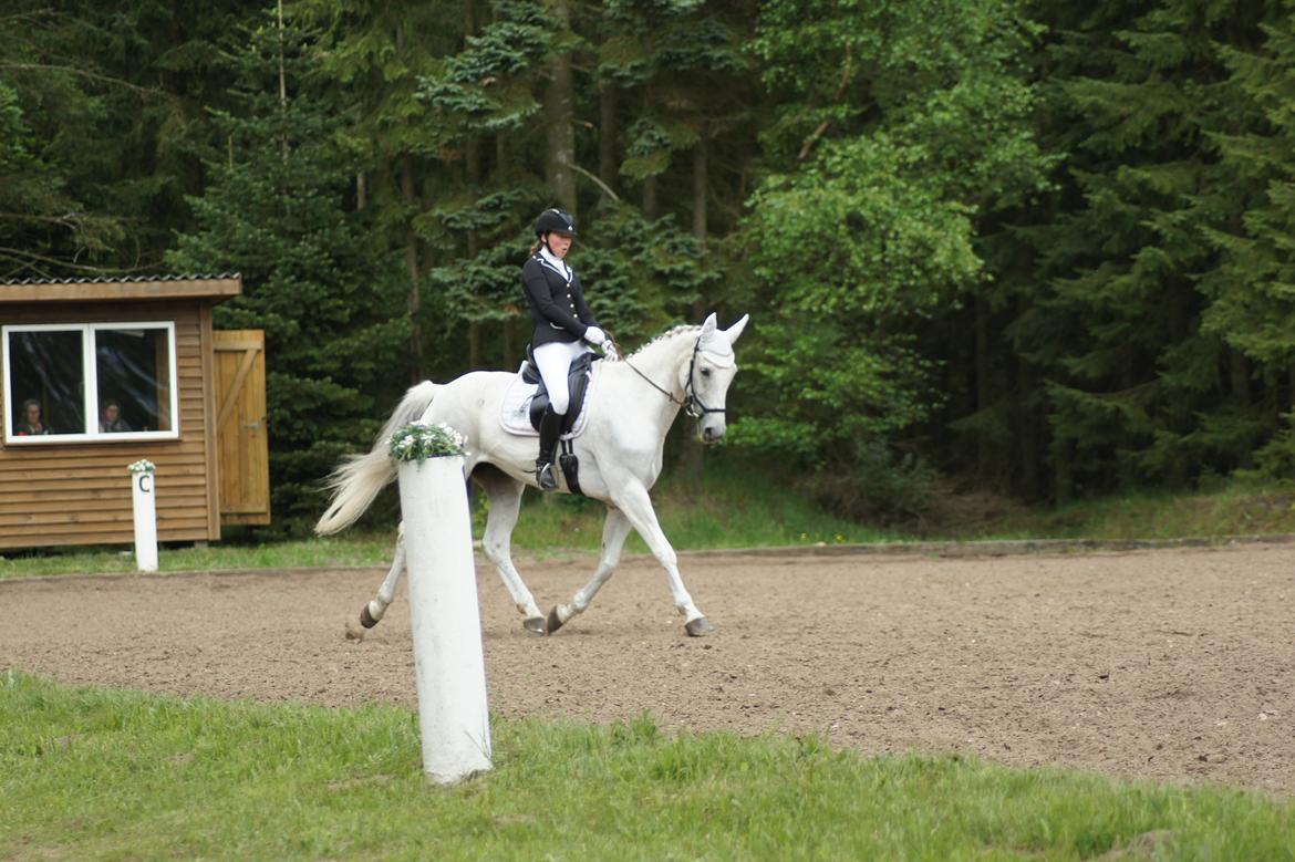 Regionsstævne Haderup rideklub 28.05.16 billede 5