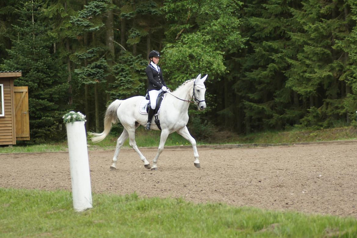 Regionsstævne Haderup rideklub 28.05.16 billede 6