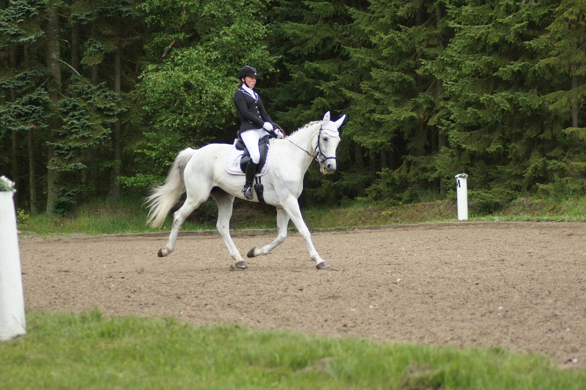 Regionsstævne Haderup rideklub 28.05.16 billede 7