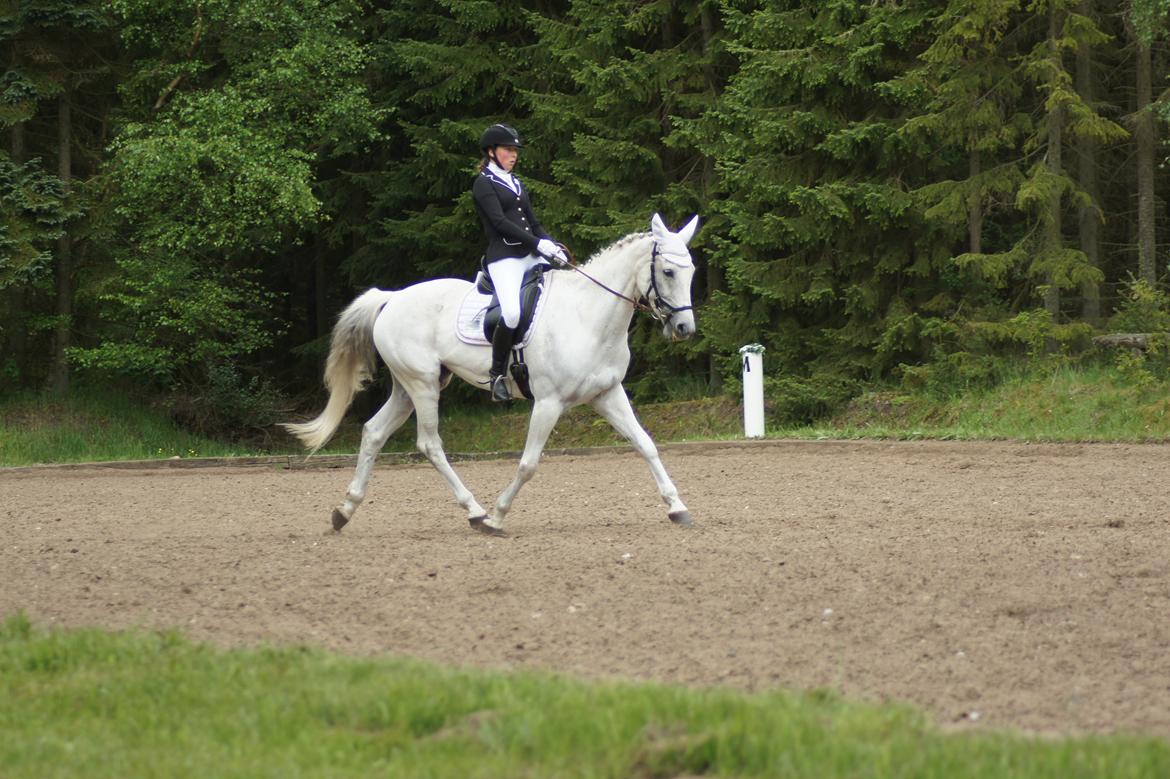 Regionsstævne Haderup rideklub 28.05.16 billede 8