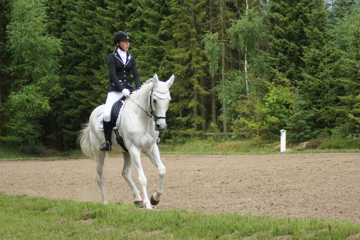 Regionsstævne Haderup rideklub 28.05.16 billede 13