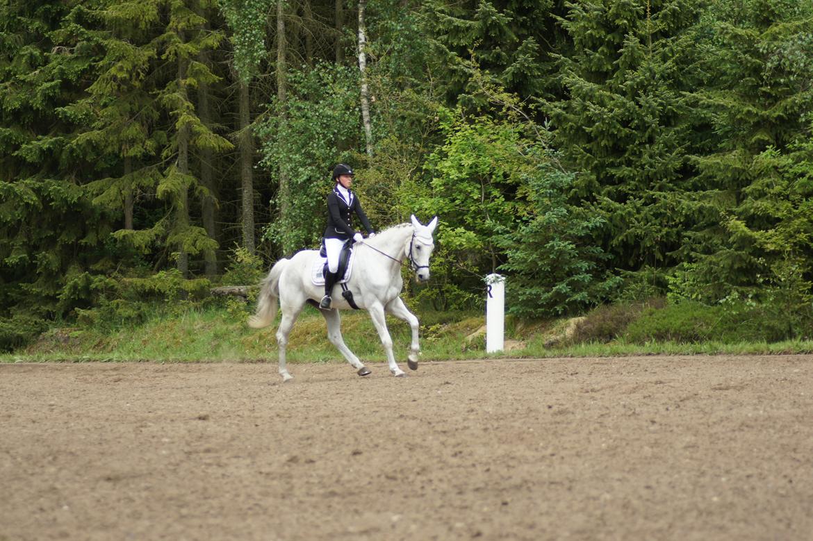 Regionsstævne Haderup rideklub 28.05.16 billede 14