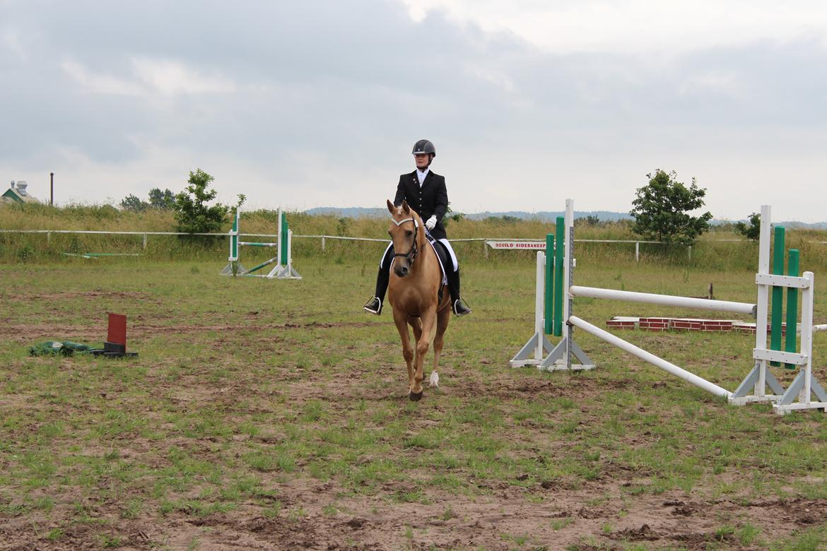 Ørsted rideklub 25-06-16 billede 3