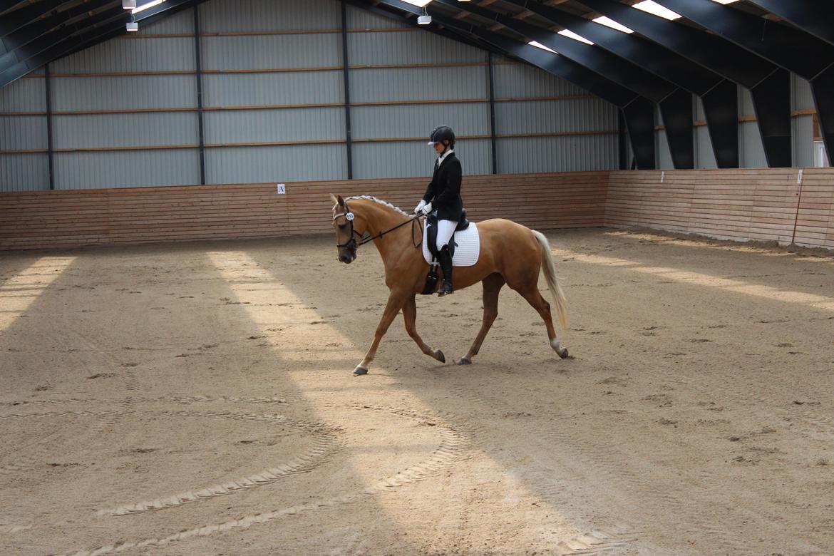 Ørsted rideklub 25-06-16 billede 10