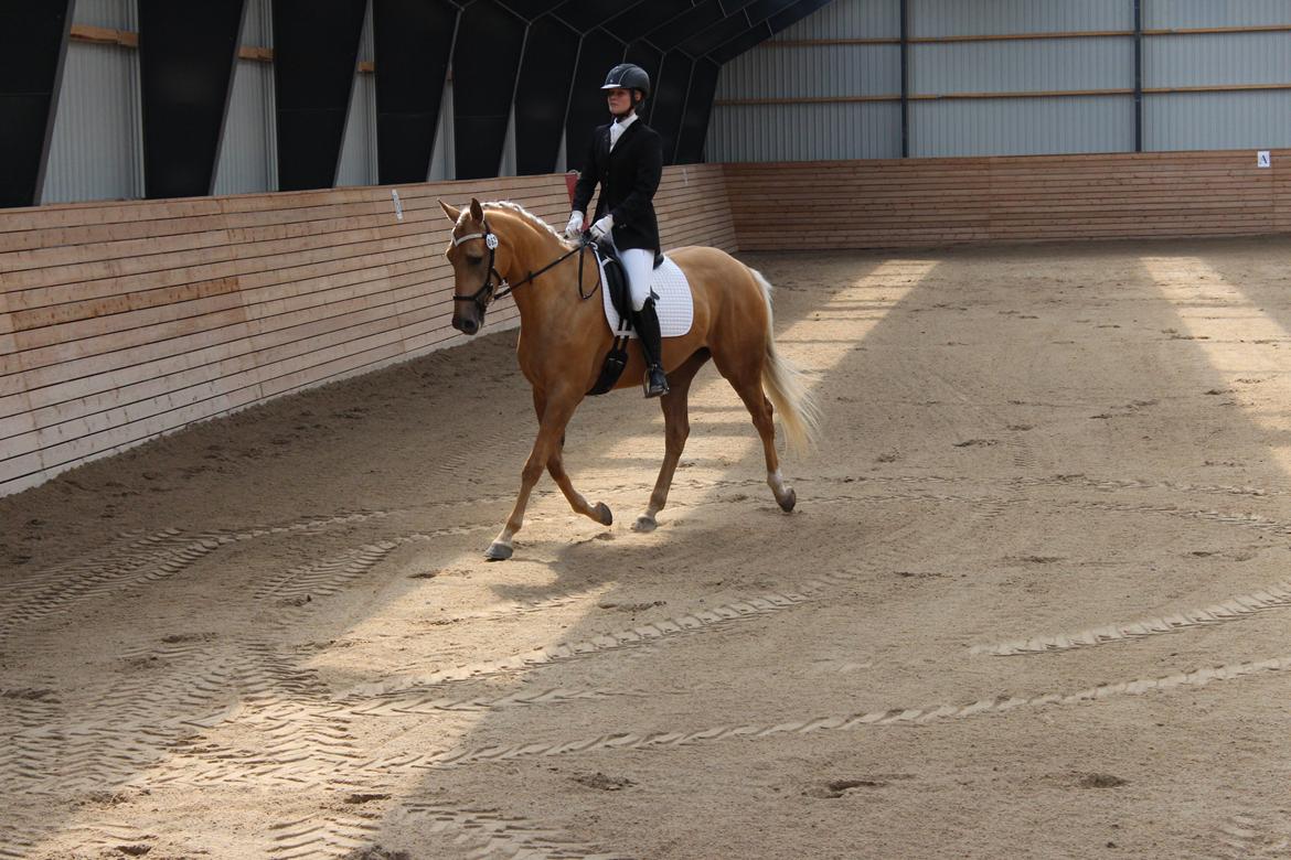 Ørsted rideklub 25-06-16 billede 12