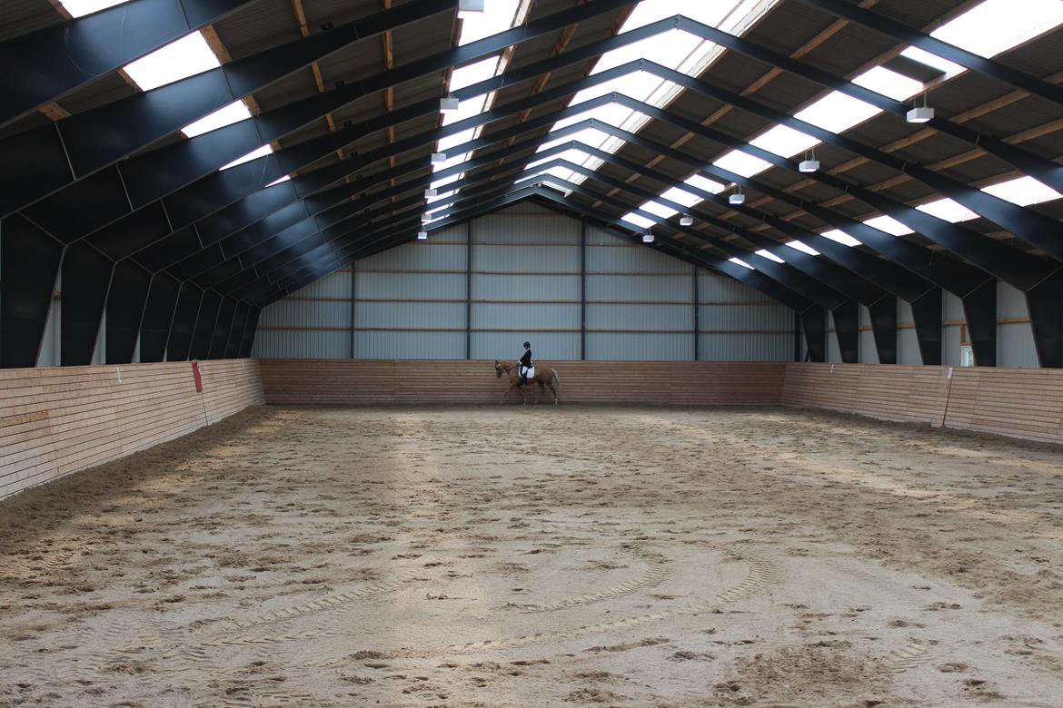 Ørsted rideklub 25-06-16 billede 13