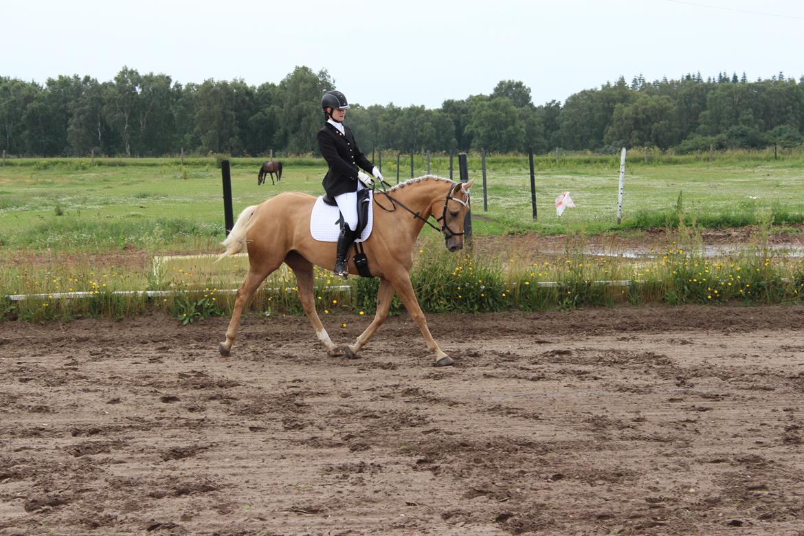 Ørsted rideklub 25-06-16 billede 8