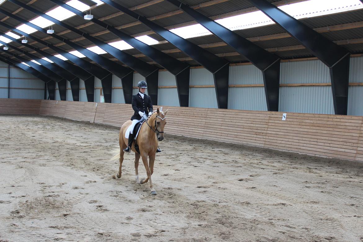 Ørsted rideklub 25-06-16 billede 14