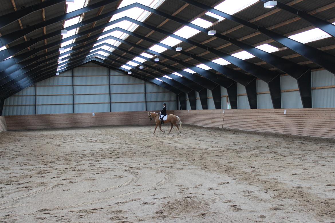 Ørsted rideklub 25-06-16 billede 15