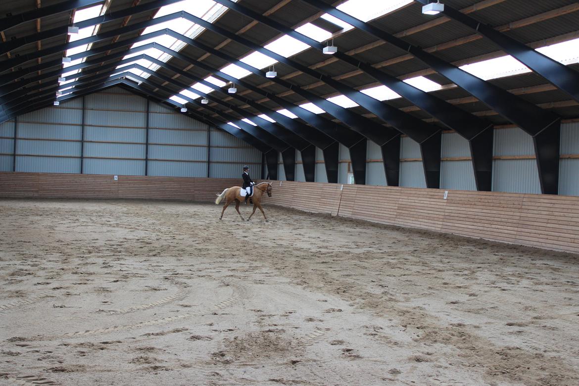 Ørsted rideklub 25-06-16 billede 16