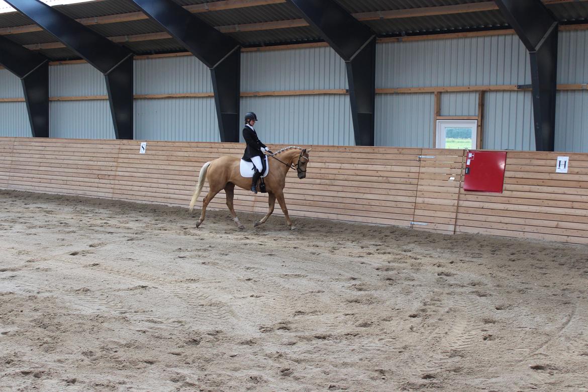 Ørsted rideklub 25-06-16 billede 18