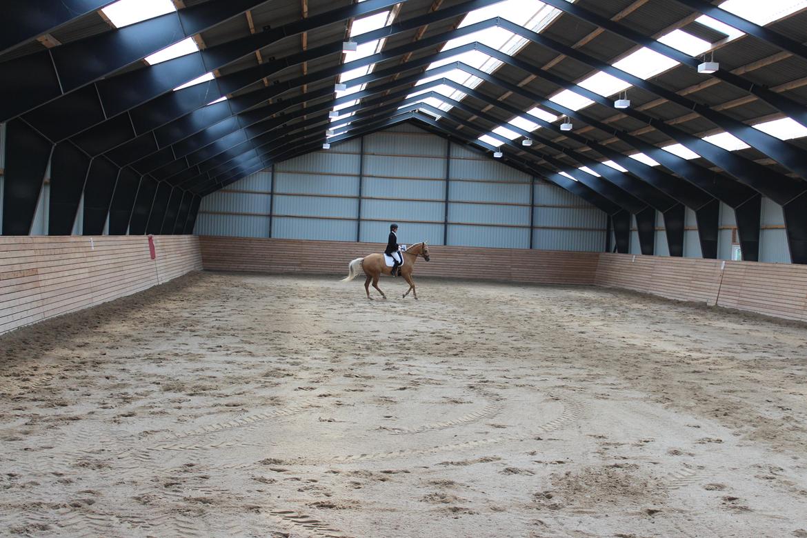 Ørsted rideklub 25-06-16 billede 19