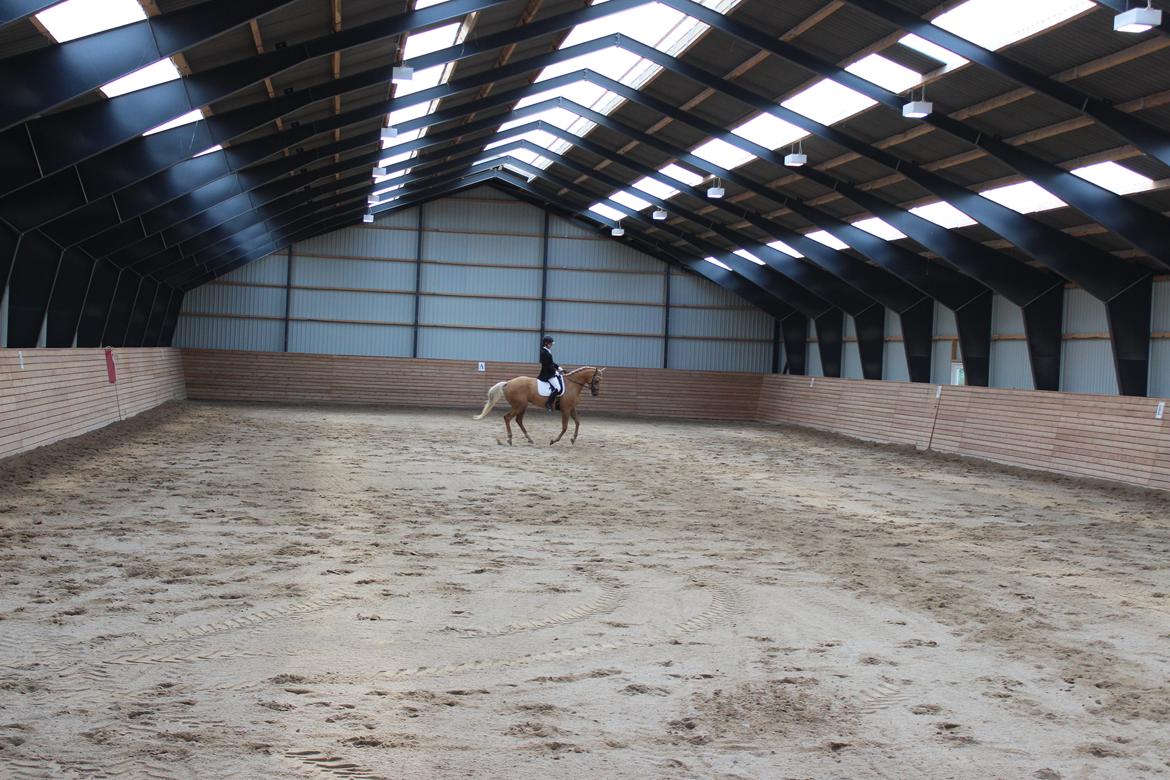 Ørsted rideklub 25-06-16 billede 20