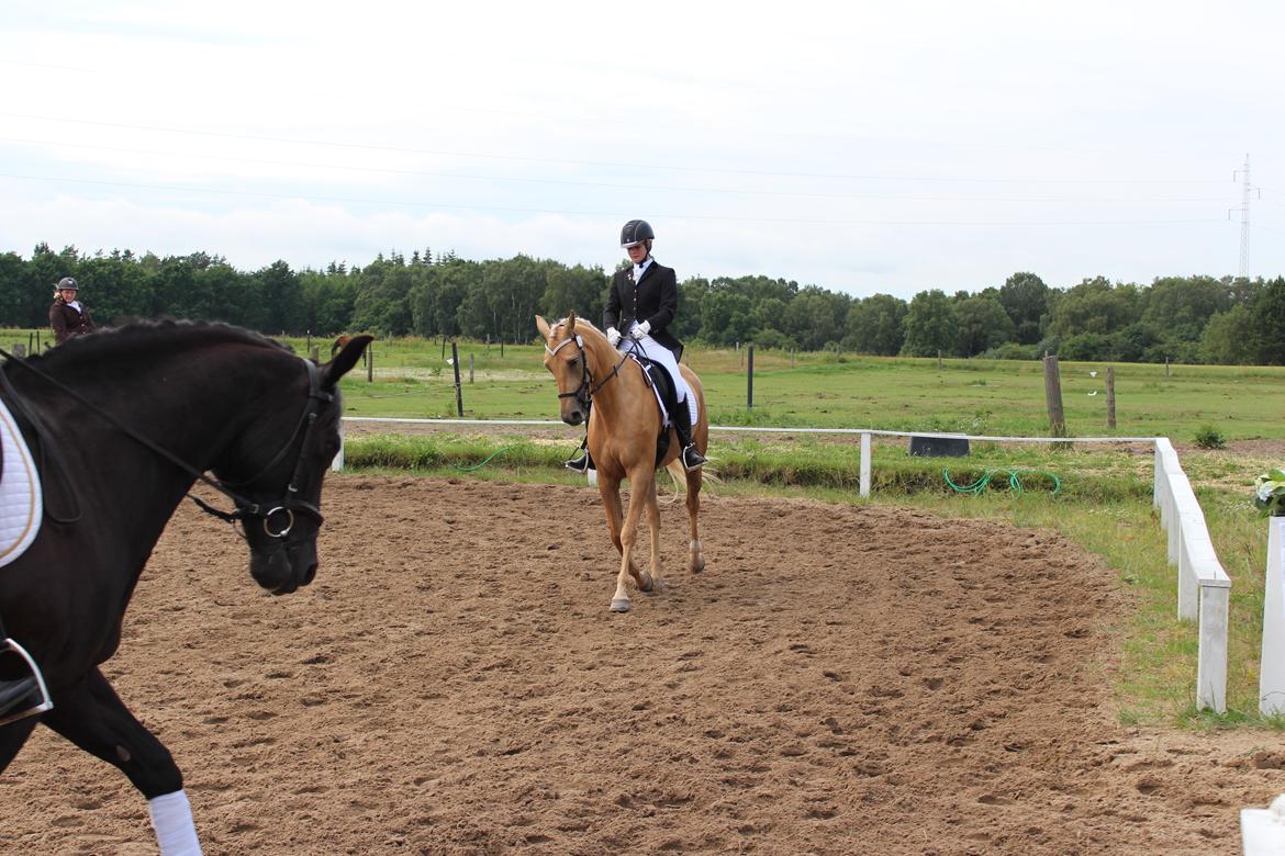 Ørsted rideklub 25-06-16 billede 23