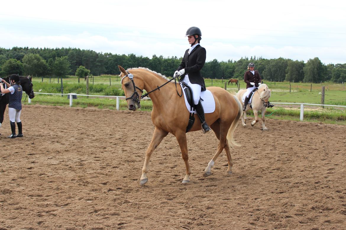 Ørsted rideklub 25-06-16 billede 24