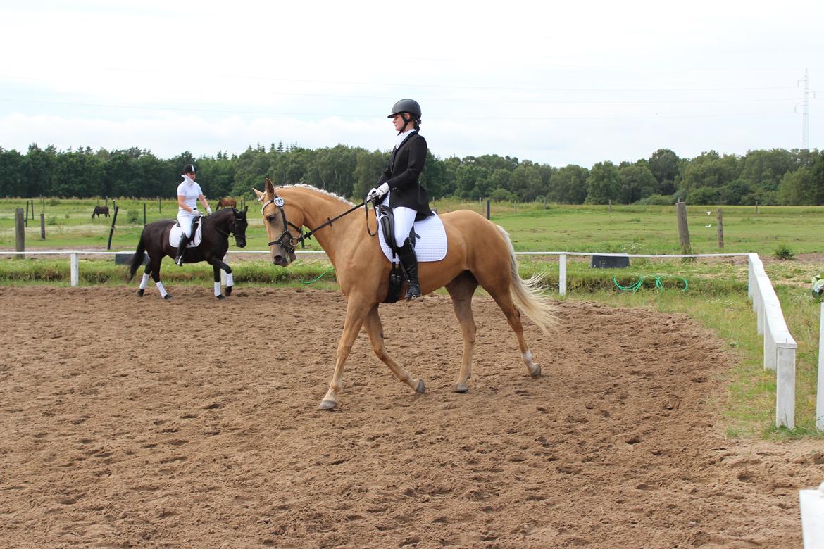 Ørsted rideklub 25-06-16 billede 27