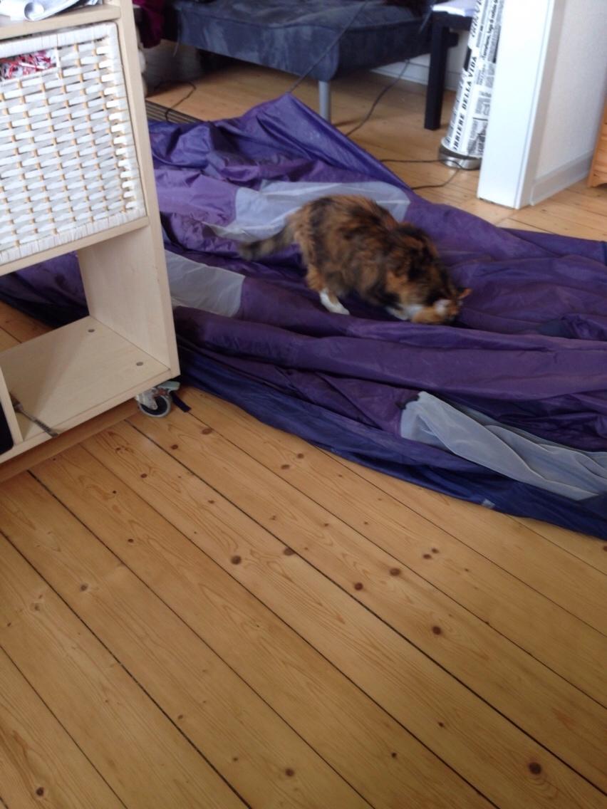 Trampolin telt laves til tarp billede 2