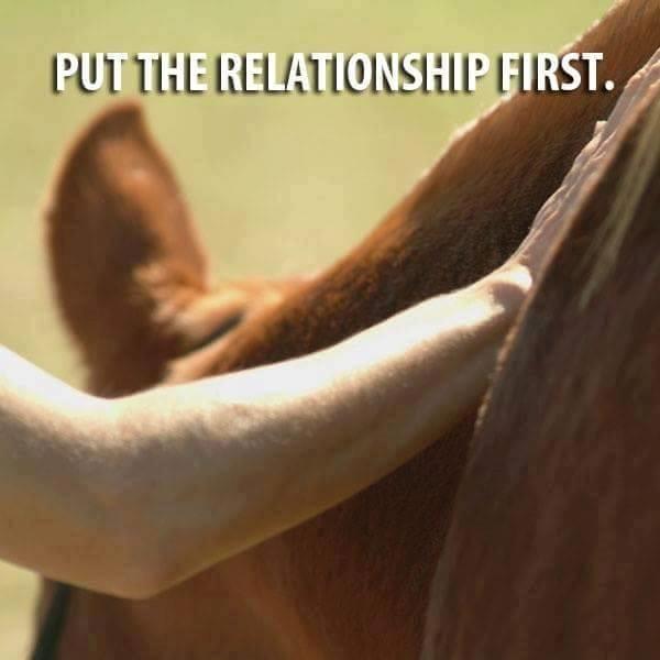 Blandet søde sjove billeder og tekster  billede 246