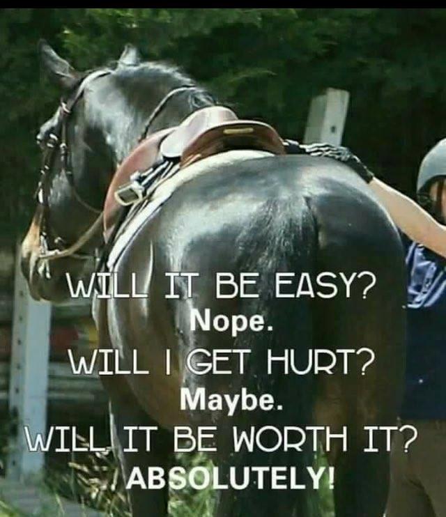 Blandet søde sjove billeder og tekster  billede 250