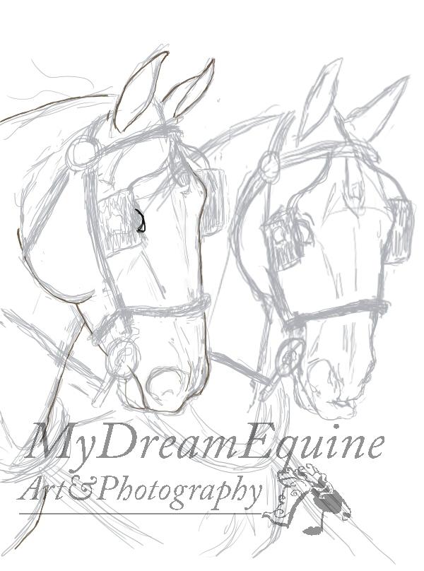Tegning i Process  - Start på Lineart af hest1 Gapora billede 2