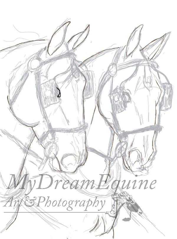 Tegning i Process  - Start på lineart hest 2 Consula billede 3