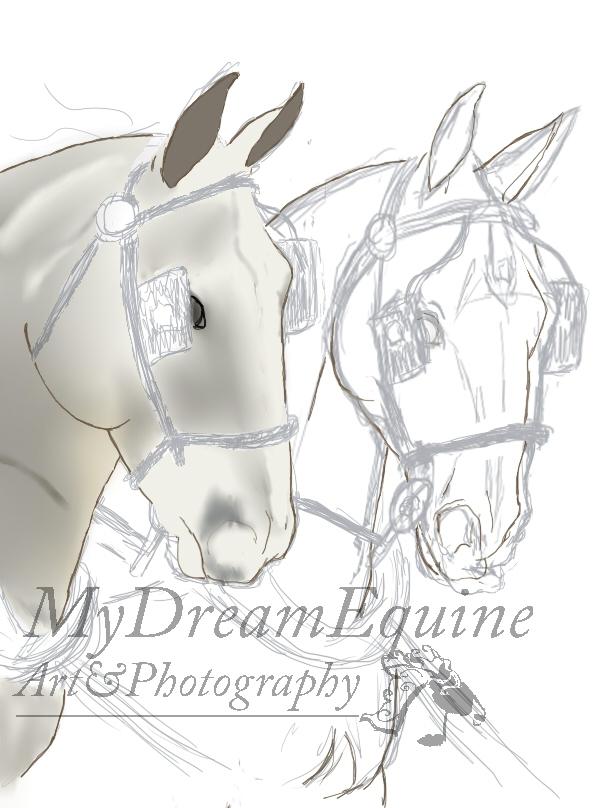Tegning i Process  - Start på soft skygger på hest1 billede 5