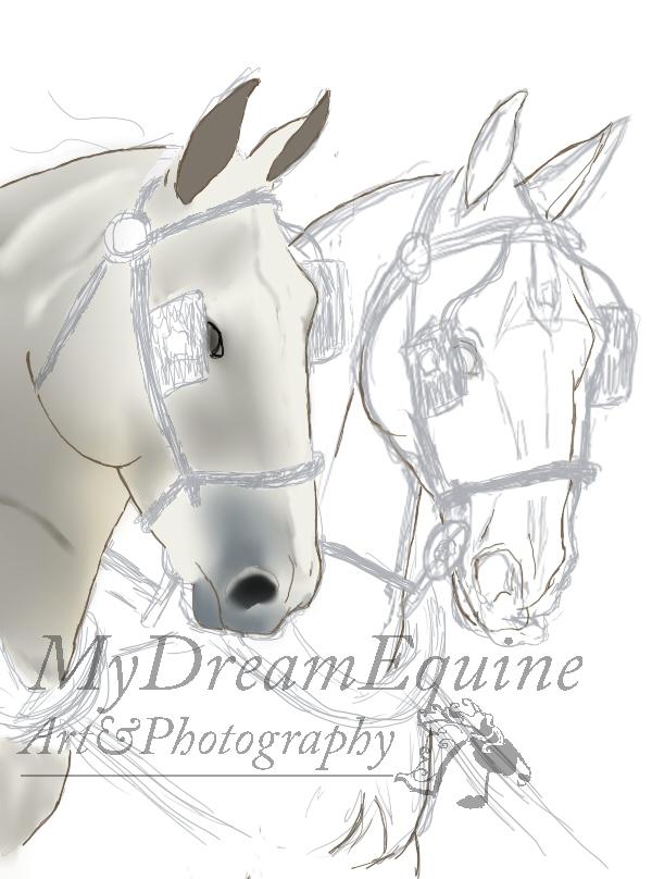 Tegning i Process  - mule og næsebor har fået lidt farve nu :) billede 6