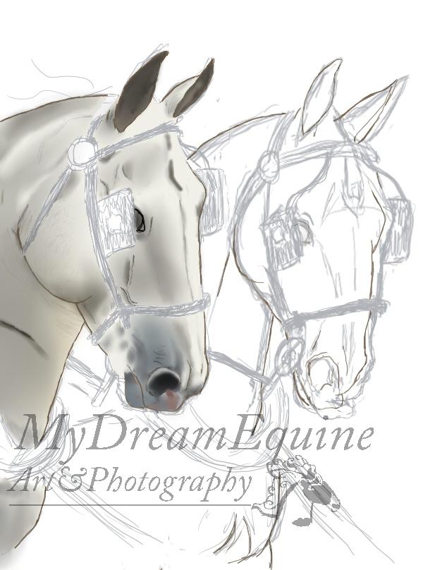 Tegning i Process  - start på de mere dybe skygger + detaljer på mulen billede 7