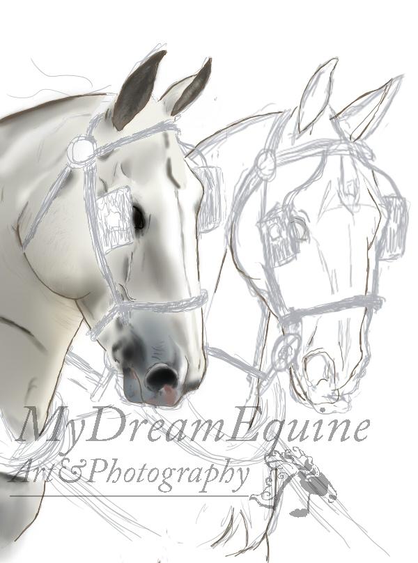 Tegning i Process  - Øjene har nu fået lidt dybde billede 9