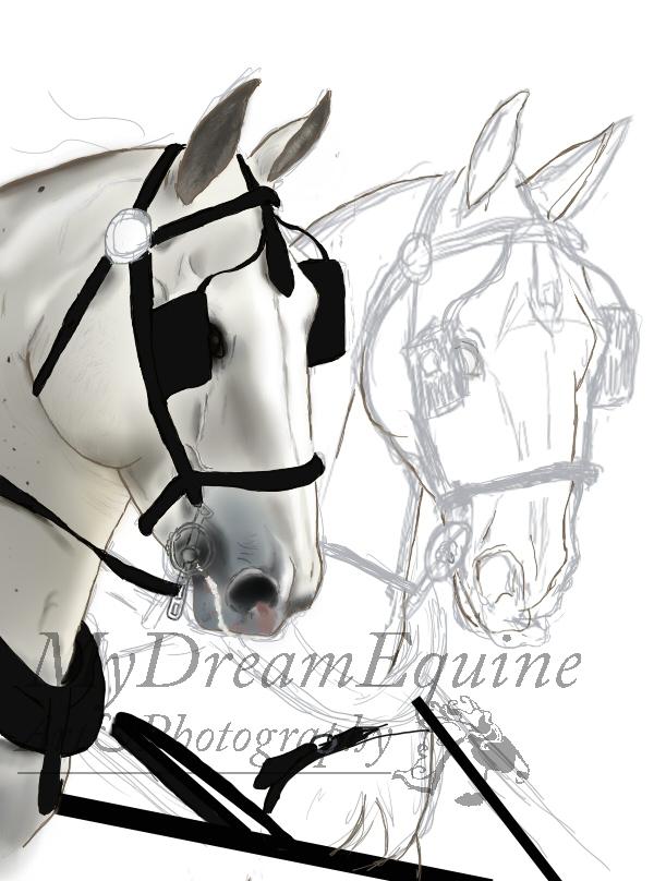 Tegning i Process  - Grund farve seletøj billede 11