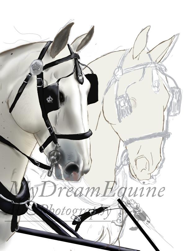 Tegning i Process  - Lys på seletøj+ Grundfarve på hest2 billede 14