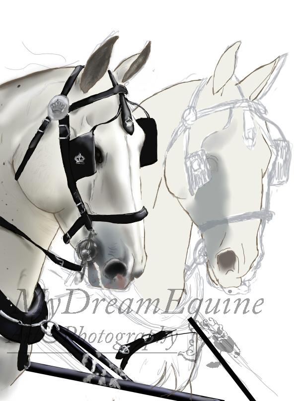 Tegning i Process  - Nu mangler Gapora kun sin smukke silke man +Start på skygger på hest2 billede 15