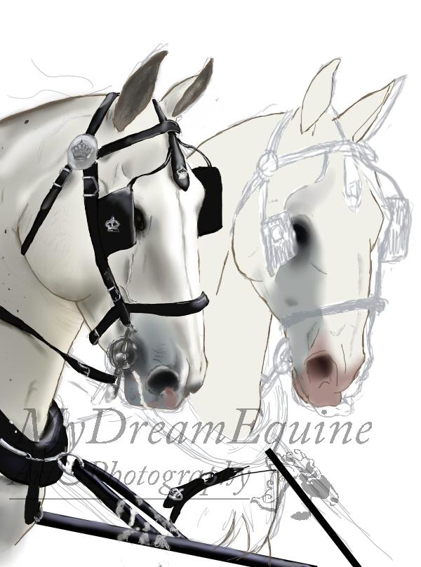 Tegning i Process  - Grund farve mule på hest2 billede 16