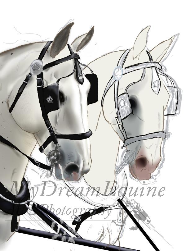 Tegning i Process  - Lineart seletøj på hest2 billede 17