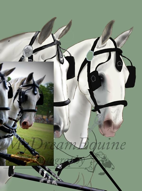 Tegning i Process  - Grund farve på hovedetøj+ lineart på dele af hovedtøjet er rettet til, og gjort smallere billede 19