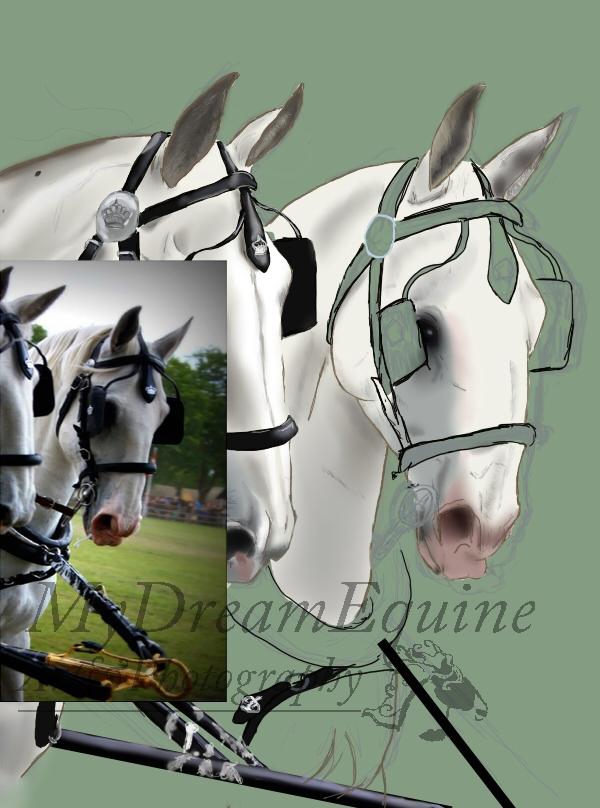 Tegning i Process  - Nu er der kommet flere skygger og detaljer på Consula :) Har valgt ar provisere lidt, og give ham lidt highligt øjet :) billede 18