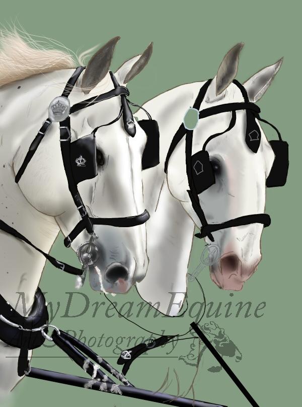 Tegning i Process  - Så er jeg begyndt på de første (MAAAAAAANGE) strøjr af manen, på Gapora og allerede nu ved jeg det kommer til at tage sin tid da den skal ha' skygger,highlights,spil i og samtidig ikke komme til at se ''tung'' ud :) Consula har fået en mindre næse ''operation'' så mulen er blevet endnu en smule mindre :) billede 20