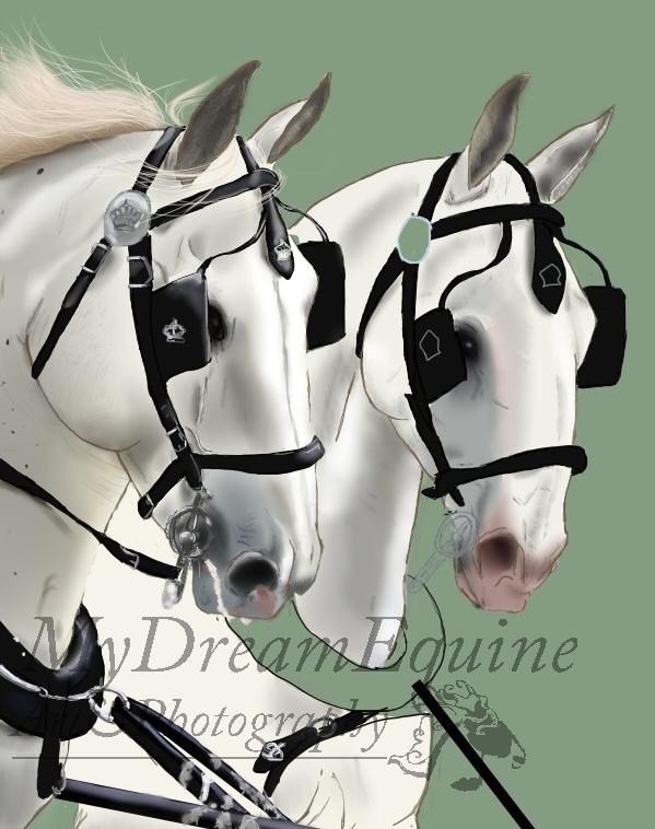 Tegning i Process  - Så er Gapora's man færdig og jeg er begyndt på resten af grundfarven på Consula's krop :) billede 21