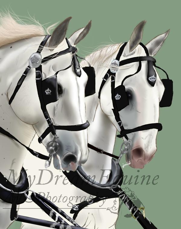 Tegning i Process  - Så er Consula ikke længere skaldet ;D Hans mule er igen blevet rettet lidt på, og jeg har gjort den mørkere. billede 23